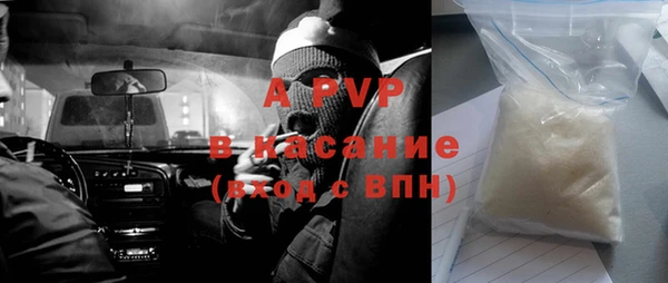 apvp Белокуриха