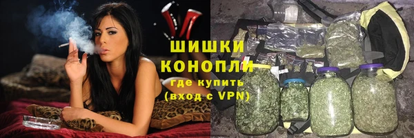 apvp Белокуриха