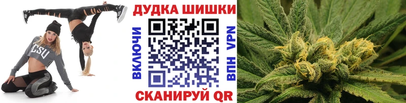Конопля ГИДРОПОН  где найти наркотики  Болхов 